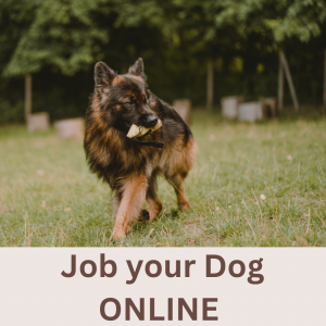 Job your Dog – Der Onlinekurs für artgerechte Hundebeschäftigung