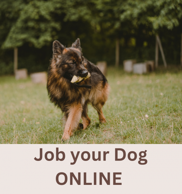 Job your Dog – Der Onlinekurs für artgerechte Hundebeschäftigung