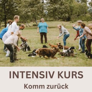 Komm zurück Intensiv Kurs