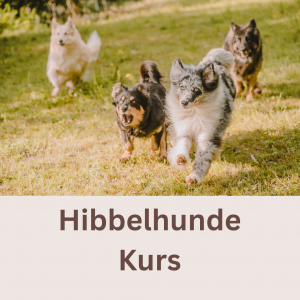 Hibbelhunde Kurs