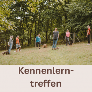 Kennenlerntreffen Welpen