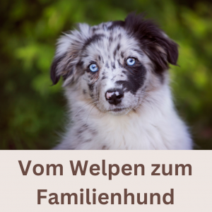 Vom Welpen zum Familienhund