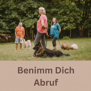 Benimm Dich Kurs - Abruf