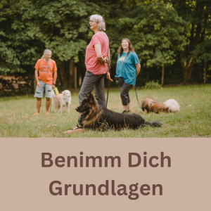 Benimm Dich Kurs - Grundlagen
