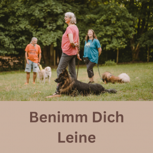 Benimm Dich Kurs - Leine