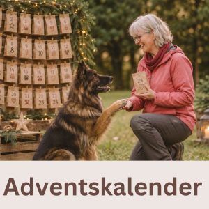 Hunde WhatsApp Adventskalender